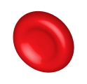 Blood